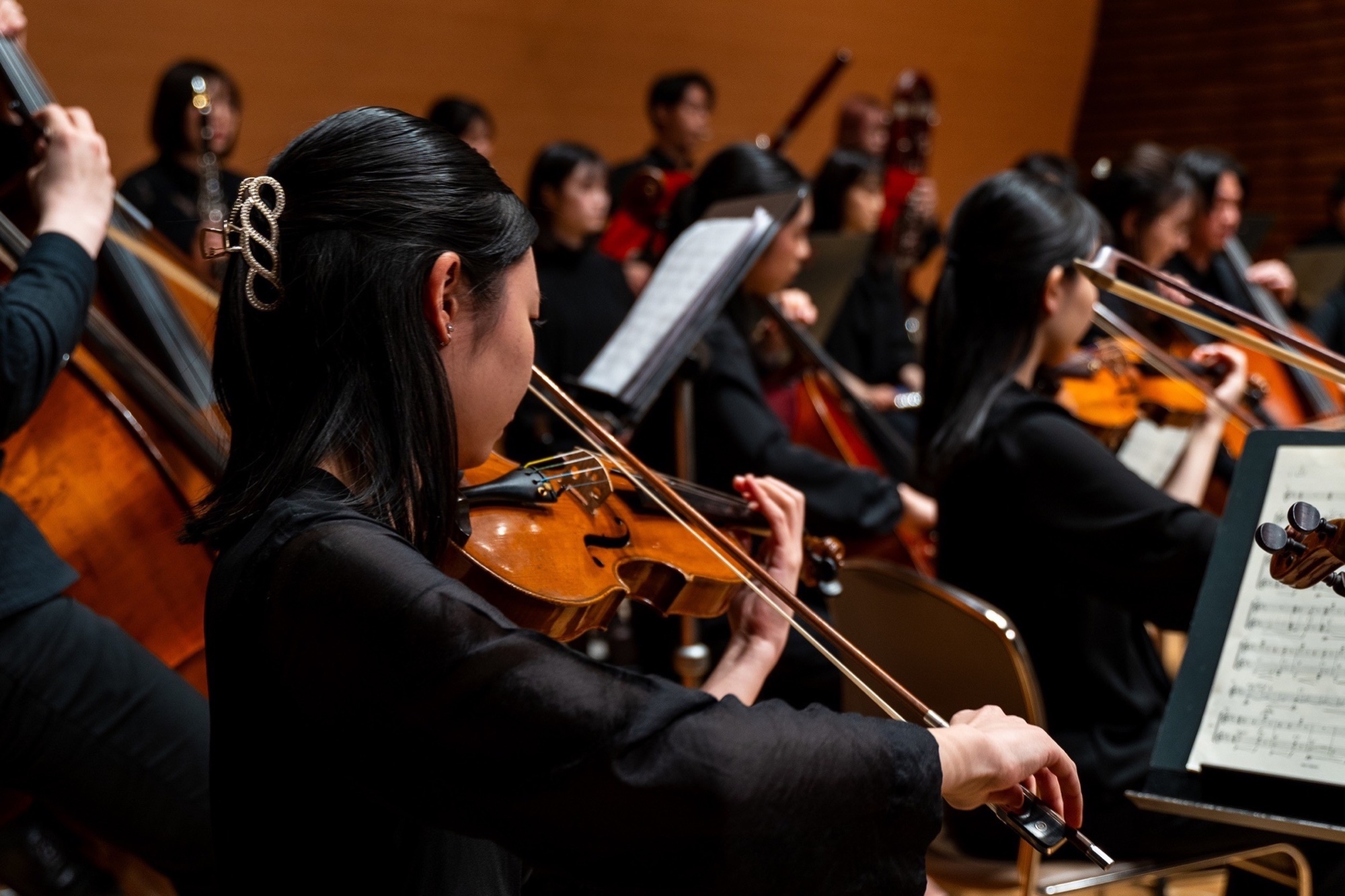 舞台上で演奏する木の音楽会